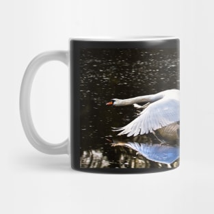 Mute Swan in flight Mug